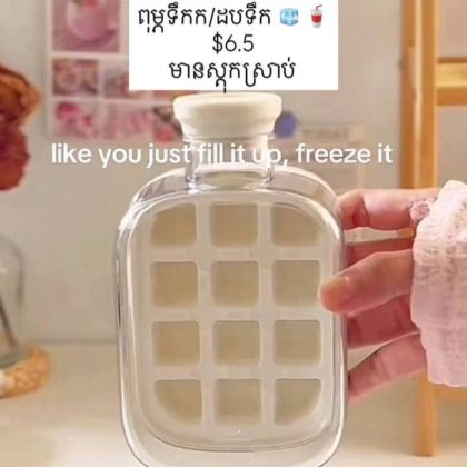 ice mold bottle with straw 500ml