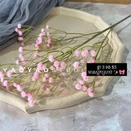 pink gypsophila flower