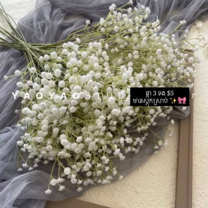 White-gypsophila flower