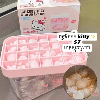hello kitty ice mold with cover